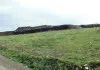 A landfill where compost is used as temporary cover A landfill where compost is used as temporary cover