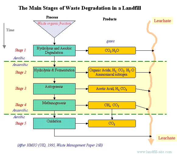 Stages In The Solid Waste Management Process Adapted From