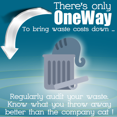 Waste Reporting and Auditing meme