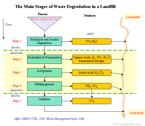 A Waste Degradation Flowchart