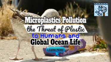 Image text: "Microplastic pollution the threat to humans and global ocean life".