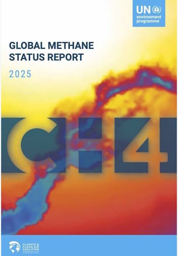 GMSR_2025-1 reportcover image.